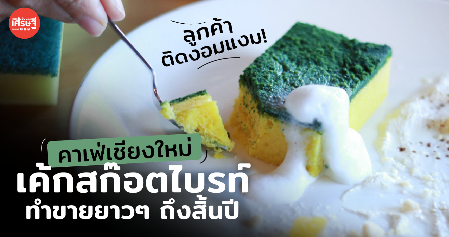 ลูกค้าติดงอมแงม! เค้กสก๊อตไบรท์ คาเฟ่เชียงใหม่ ทำขายยาวๆ ถึงสิ้นปี 
