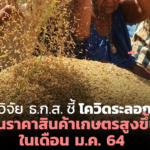 ศูนย์วิจัย ธ.ก.ส. ชี้โควิดระลอกใหม่ ดันราคาสินค้าเกษตรสูงขึ้นในเดือน ม.ค. 64