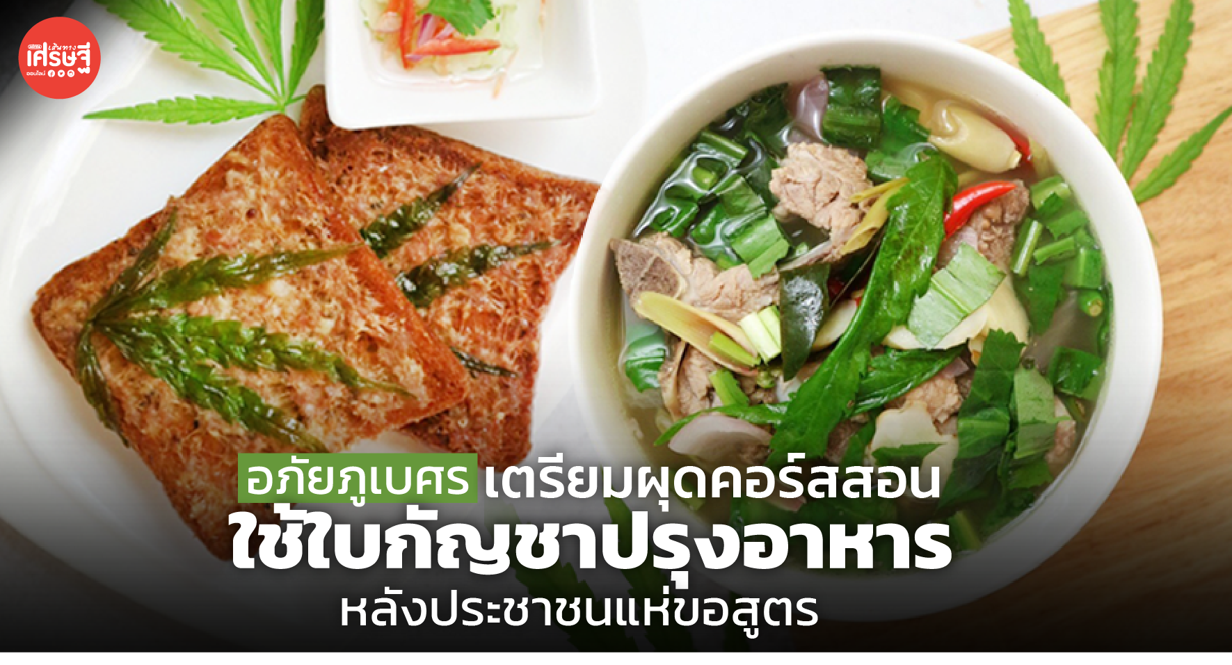 อภัยภูเบศร เตรียมผุดคอร์สสอน ใช้ใบกัญชาปรุงอาหาร หลังประชาชนแห่ขอสูตร