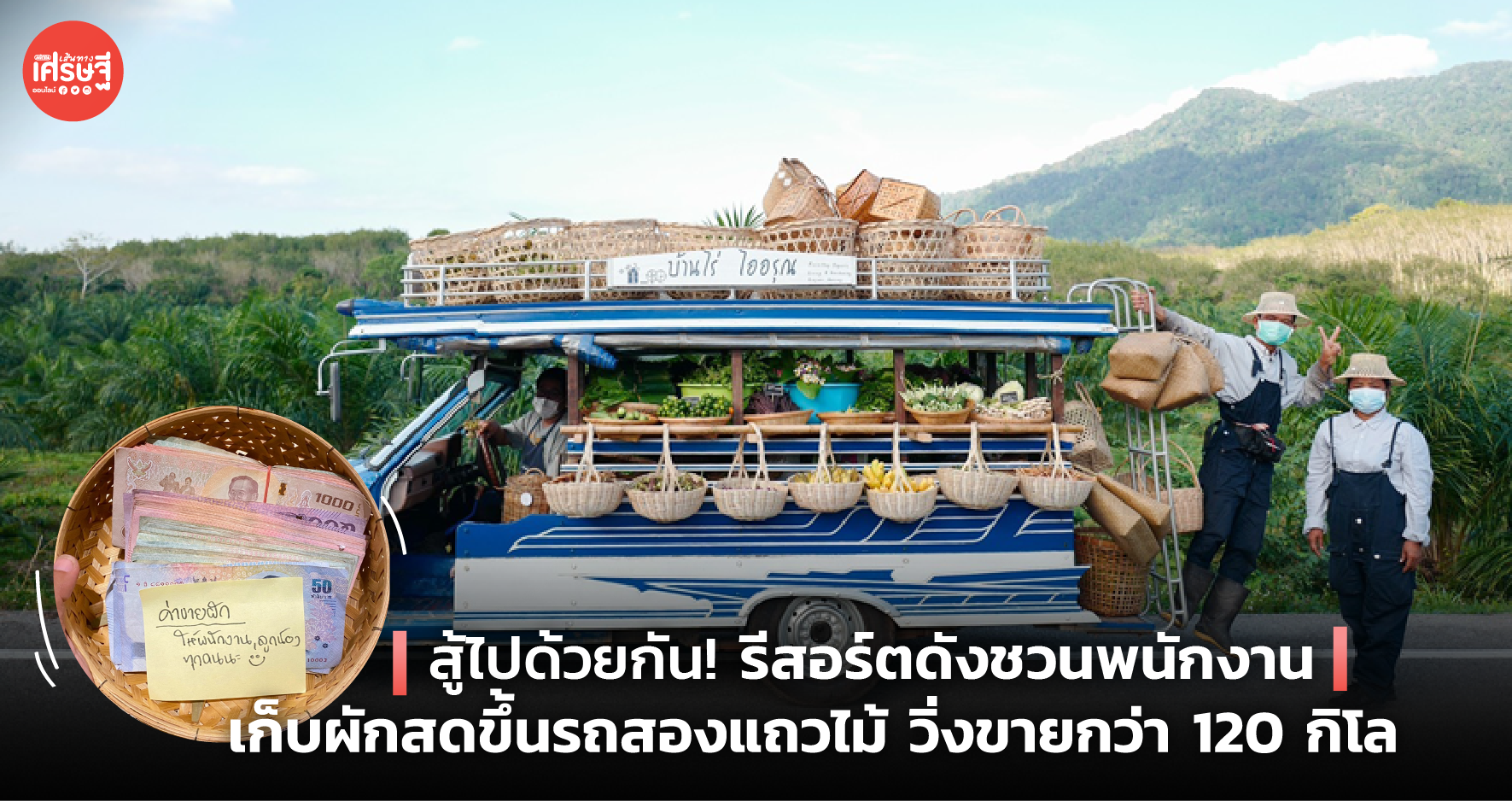 สู้ไปด้วยกัน! รีสอร์ตดังชวนพนักงาน เก็บผักสดขึ้นรถสองแถวไม้ วิ่งขายกว่า 120 กิโล 