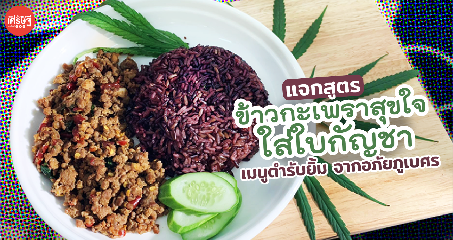 แจกสูตร ข้าวกะเพราสุขใจ ใส่ใบกัญชา เมนูตำรับยิ้ม จากอภัยภูเบศร