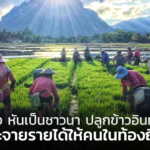 สื่อคนดัง หันเป็นชาวนา ปลูกข้าวอินทรีย์ขาย กระจายรายได้ให้คนในท้องถิ่น