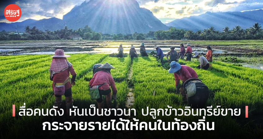สื่อคนดัง หันเป็นชาวนา ปลูกข้าวอินทรีย์ขาย กระจายรายได้ให้คนในท้องถิ่น