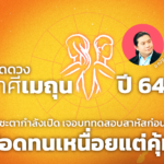 เปิดดวงภาพรวม ราศีเมถุน ปี 64 เจอบททดสอบสาหัส ให้อดทนเหนื่อยแต่คุ้ม