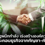 ภาครัฐผนึกกำลัง เร่งสร้างองค์ความรู้ การประกอบธุรกิจจากกัญชา-กัญชง
