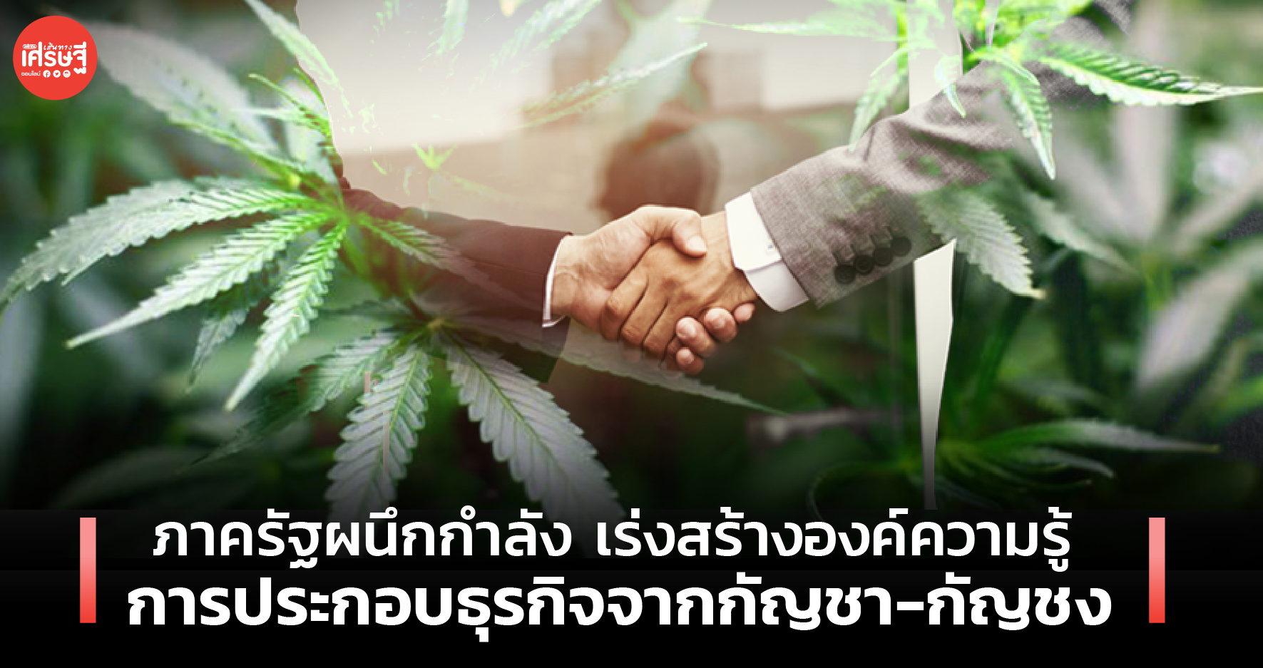 ภาครัฐผนึกกำลัง เร่งสร้างองค์ความรู้ การประกอบธุรกิจจากกัญชา-กัญชง