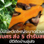 ช่วงนี้มีไข้หวัดใหญ่ระบาดร่วมด้วย อภัยภูเบศรส่ง 5 ตำรับสมุนไพร มีไว้ติดบ้านอุ่นใจ