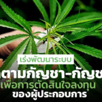 เร่งพัฒนาระบบติดตามกัญชา-กัญชง เพื่อการตัดสินใจลงทุนของผู้ประกอบการ
