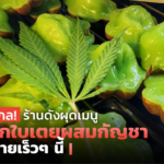 ไม่ต้องไปไกล! ร้านดัง ผุดเมนู ขนมครกใบเตยผสมกัญชา เตรียมขายเร็วๆ นี้ 