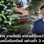 นิสิตจุฬาฯ ขายต้นไม้ หารายได้ระหว่างเรียน เดือนหนึ่งรับทรัพย์ อย่างต่ำ 3 หมื่น