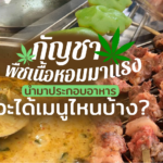 กัญชา พืชเนื้อหอมมาแรง นำมาประกอบอาหาร จะได้เมนูไหนบ้าง?