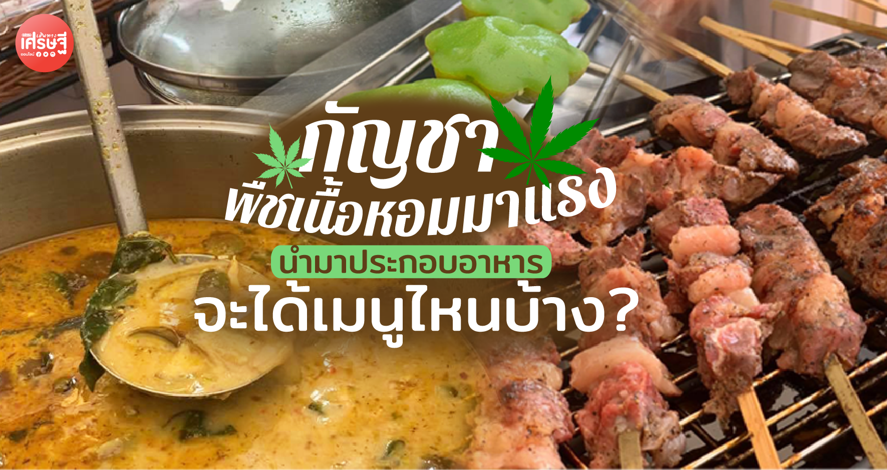 กัญชา พืชเนื้อหอมมาแรง นำมาประกอบอาหาร จะได้เมนูไหนบ้าง?