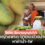 โควิด จัดงานบุญไม่ได้! วัดบางหญ้าแพรก ขายมะม่วงน้ำดอกไม้ หาค่าน้ำ-ไฟ