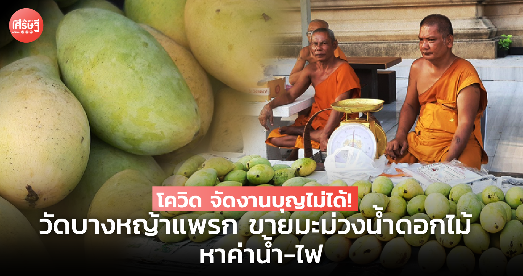 โควิด จัดงานบุญไม่ได้! วัดบางหญ้าแพรก ขายมะม่วงน้ำดอกไม้ หาค่าน้ำ-ไฟ