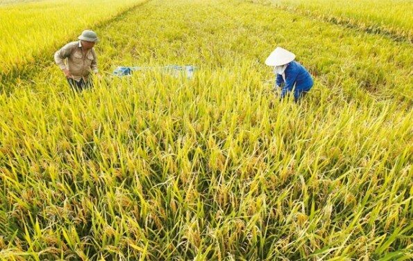 ภาพจาก ประชาชาติธุรกิจออนไลน์