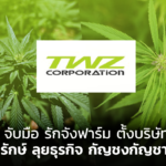 TWZ จับมือ รักจังฟาร์ม ตั้งบริษัทใหม่ กัญช์ยารักษ์ ลุยธุรกิจ กัญชงกัญชา เต็มสูบ 