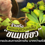 ร้านดังผุดเมนูชวนเคลิ้ม "ขนมเขียว" เน้นขายประสบการณ์การกิน มากกว่าแค่ใส่กัญชา 