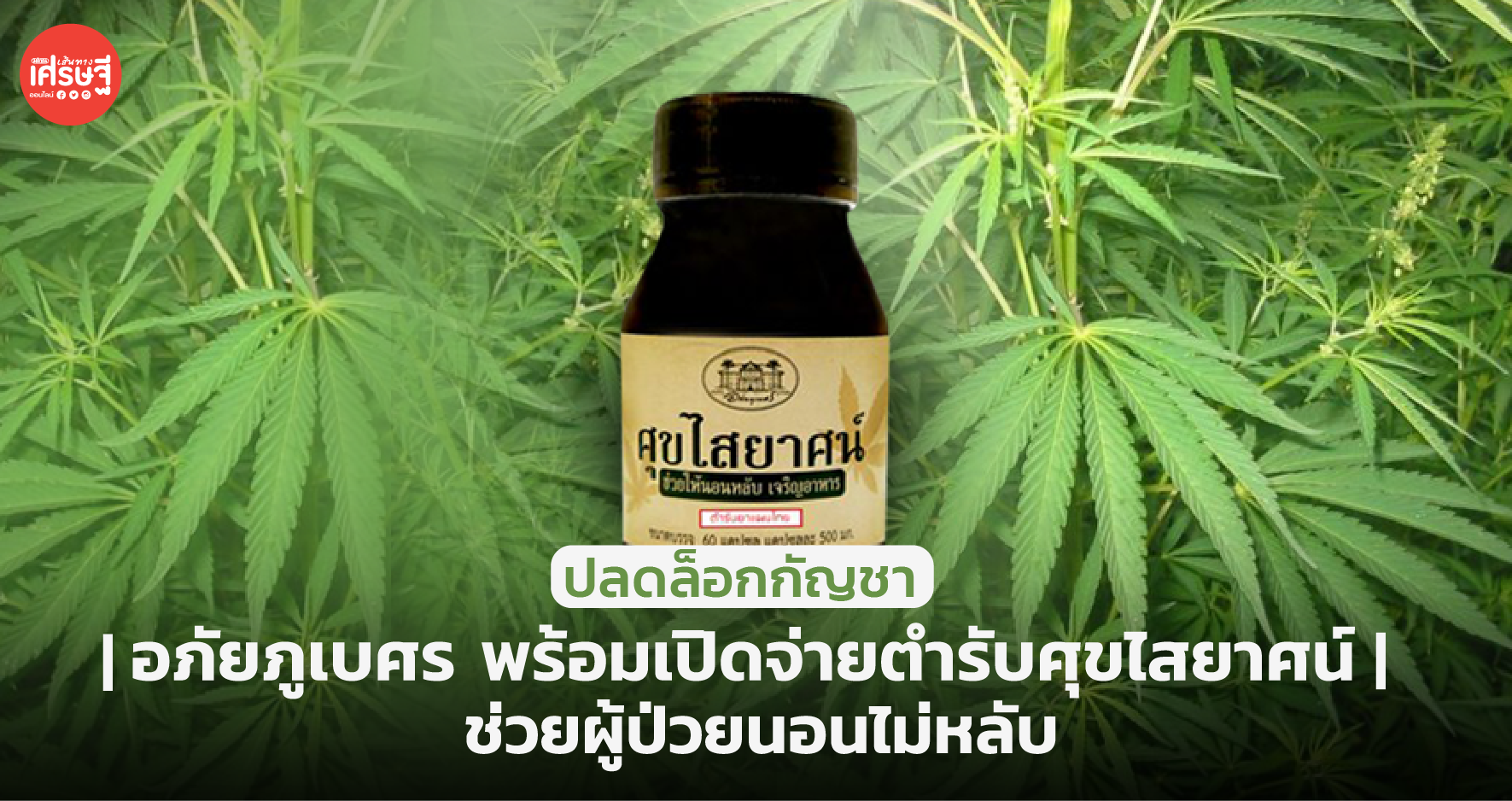 ปลดล็อกกัญชา อภัยภูเบศร พร้อมเปิดจ่ายตำรับศุขไสยาศน์ ช่วยผู้ป่วยนอนไม่หลับ
