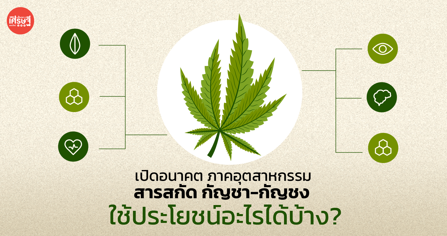 เปิดอนาคตภาคอุตสาหกรรม สารสกัด กัญชา-กัญชง ใช้ประโยชน์อะไรได้บ้าง?