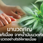 มานวดกัญ ตำรับแก้เมื่อย จากน้ำมันนวดกัญชา นวดอย่างไรให้หายเมื่อย 