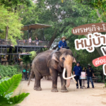 เปิดตำรับ เครื่องดื่มผสมกัญชา บอกหมดทุกขั้นตอน ทำขายได้สบาย