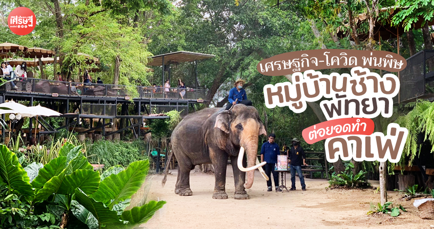 เปิดตำรับ เครื่องดื่มผสมกัญชา บอกหมดทุกขั้นตอน ทำขายได้สบาย