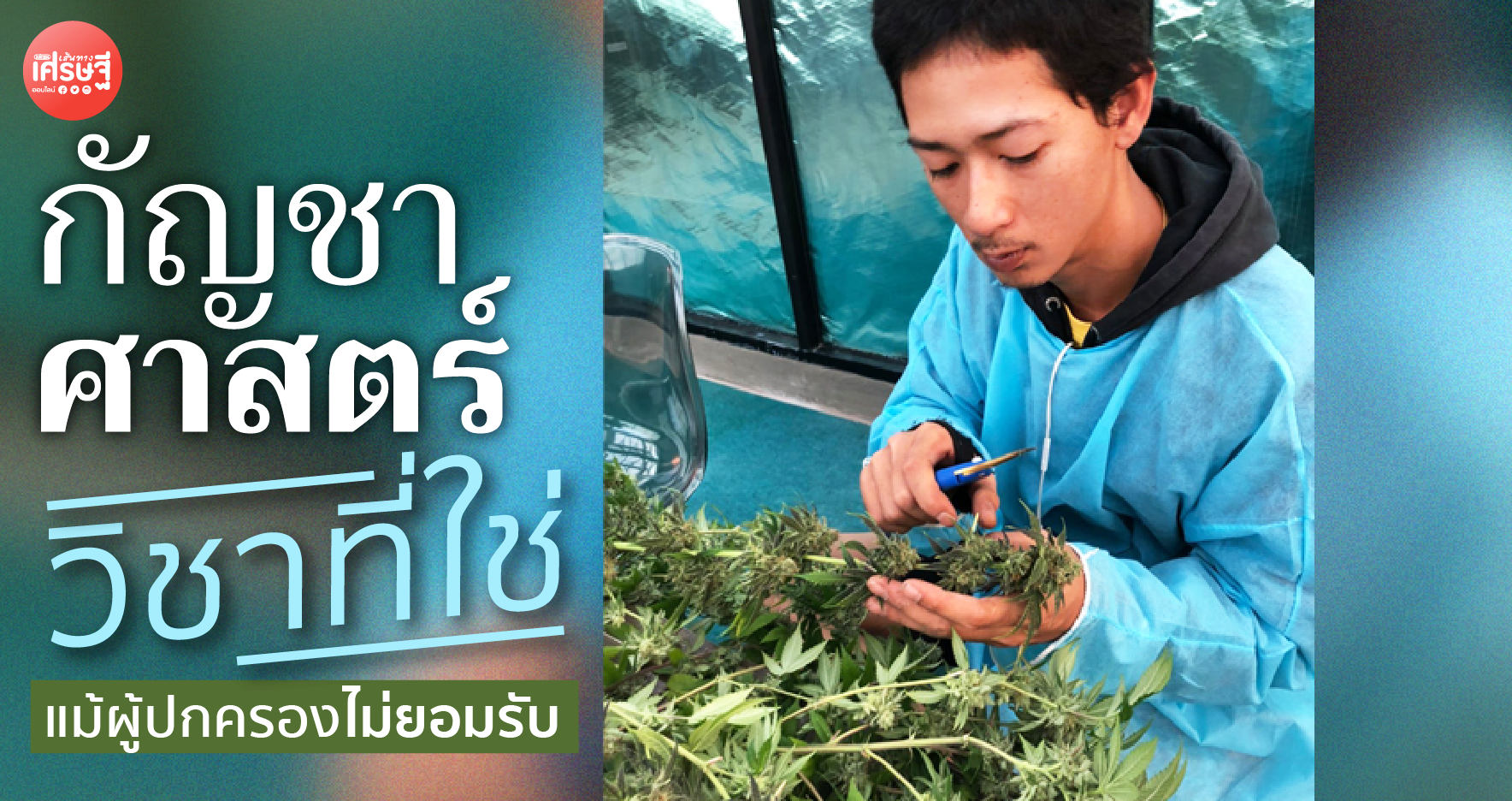 กัญชาศาสตร์ วิชาที่ใช่ ผู้ปกครองไม่ยอมรับ ขอใช้เกรด A พิสูจน์ความตั้งใจ