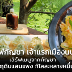 คาเฟ่กัญชา เจ้าแรกเมืองนนท์ เสิร์ฟเมนูจากกัญชา วัตถุดิบแสนแพง กิโลละหลายหมื่น