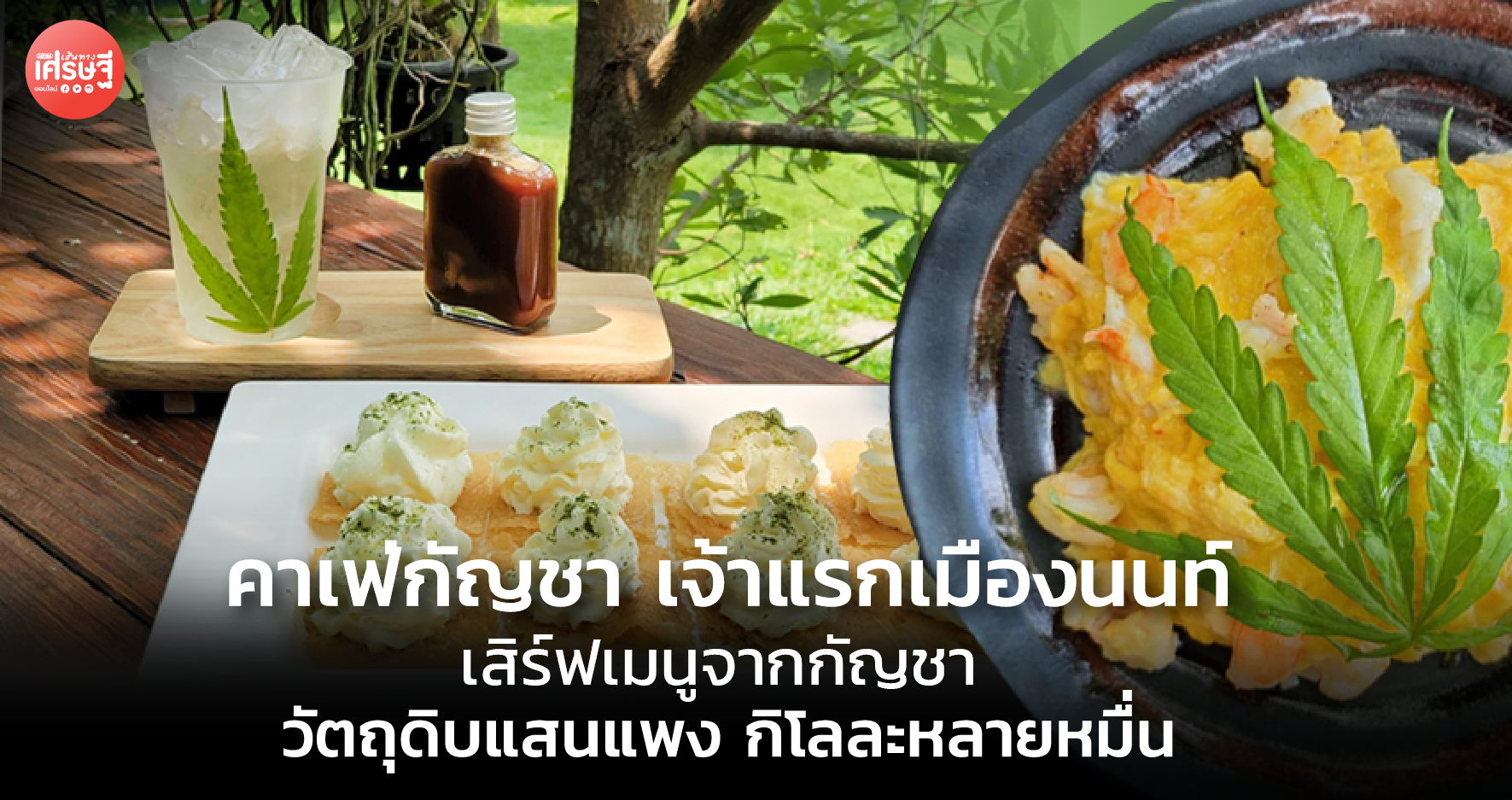 คาเฟ่กัญชา เจ้าแรกเมืองนนท์ เสิร์ฟเมนูจากกัญชา วัตถุดิบแสนแพง กิโลละหลายหมื่น