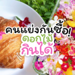 คนแย่งกันซื้อ! ดอกไม้กินได้ ตัวช่วยอัพราคาอาหาร ปลูกไม่ยาก แต่เก็บ-จัดใส่กล่องต้องระวัง