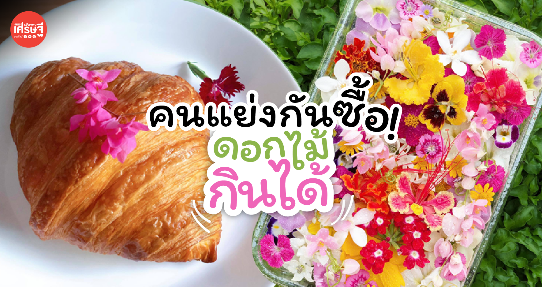 คนแย่งกันซื้อ! ดอกไม้กินได้ ตัวช่วยอัพราคาอาหาร ปลูกไม่ยาก แต่เก็บ-จัดใส่กล่องต้องระวัง