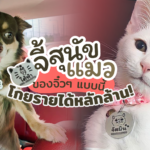 จี้สุนัข แมว แอ็กเซสซอรี่สำหรับเพื่อนรักสี่ขา จิ๋วๆ แบบนี้ทำรายได้หลักล้าน 