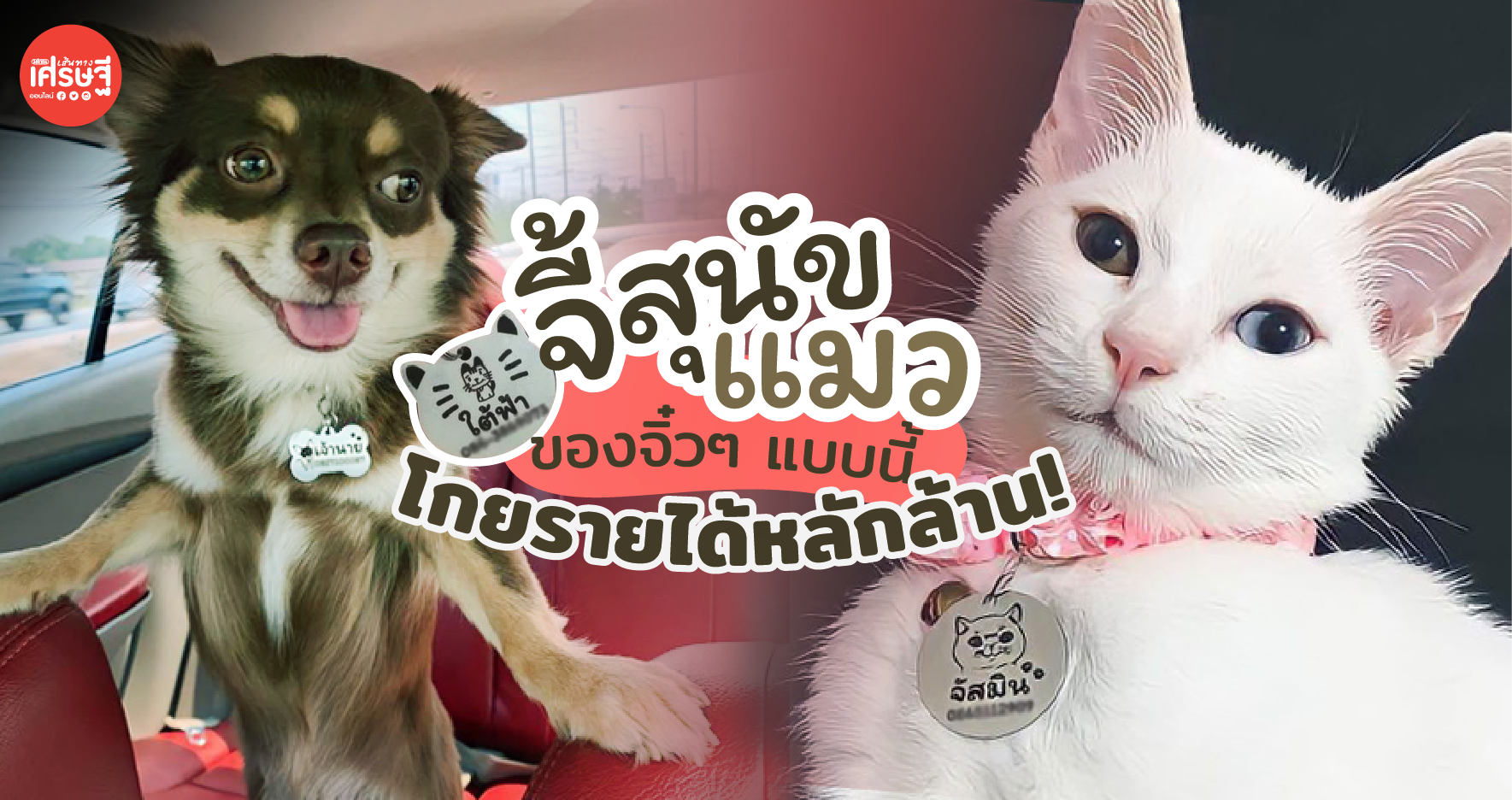 จี้สุนัข แมว แอ็กเซสซอรี่สำหรับเพื่อนรักสี่ขา จิ๋วๆ แบบนี้ทำรายได้หลักล้าน 