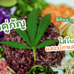 แจกสูตร ข้าวยำคู่กัญ ใส่ใบกัญชา และผักหลายชนิด สีสันน่าทานมาก