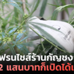 ขายแฟรนไชส์ร้านกัญชง แค่ 2 แสนบาทก็เปิดได้แล้ว