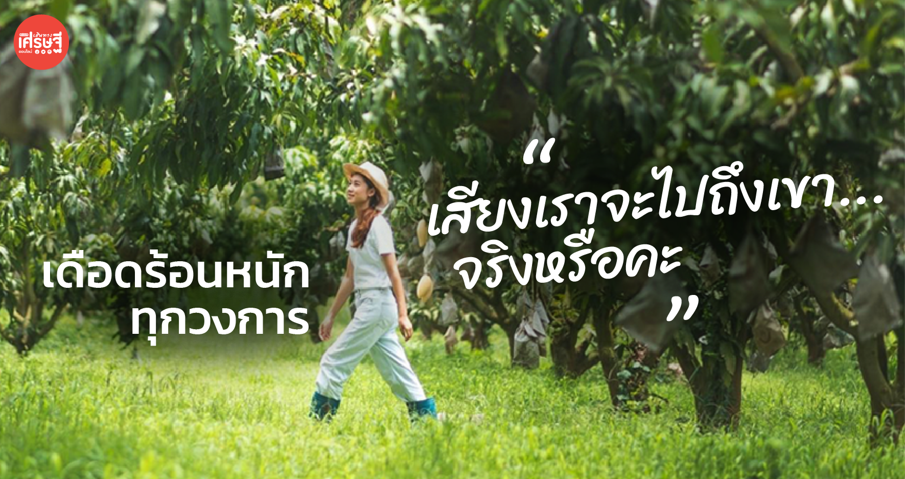 เดือดร้อนหนักทุกวงการ อยากให้รัฐบาล หาคนวางกลยุทธ์สนับสนุนเกษตรกรได้จริง