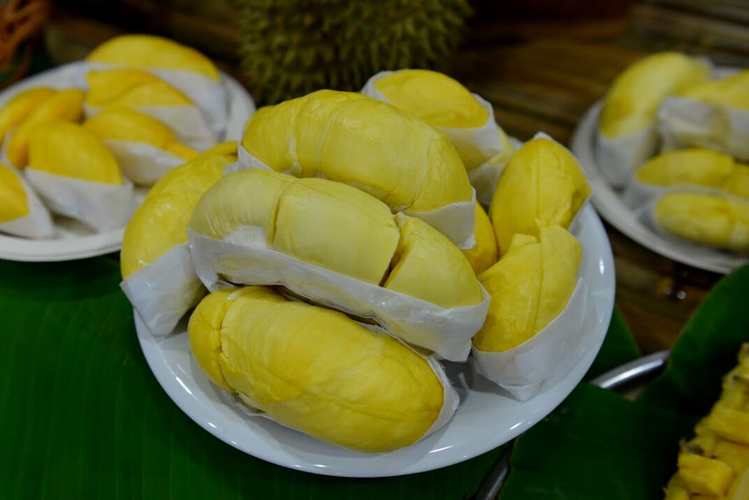 ทุเรียน ราชาผลไม้