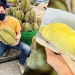 ร้านชาบูดัง ปรับตัวสู้วิกฤตระลอกใหม่ ขายทุเรียนดีลิเวอรี่ ส่งตรงจากจันทบุรี