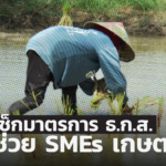 ธ.ก.ส. ออกมาตรการสินเชื่อฟื้นฟู-พักทรัพย์ พักหนี้ ช่วย SMEs เกษตร ฝ่าวิกฤต 