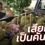 ชาคริต ซึม พายุ 1 ชม. ถล่มทุเรียนร่วง เสียหายเป็นคันรถ ทำอะไรไม่ได้เลย