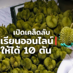 ขายทุเรียน ออนไลน์