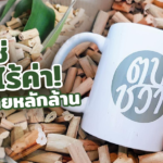 ผักตบชวา วัสดุกันกระแทกชั้นดี นำมาตากแห้ง ยอดขายปังถึงหลักล้าน 