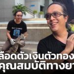 เลือด ตัวเงินตัวทอง มีคุณสมบัติทางยา ม.มหิดล วิจัยจริงจัง หวังพิชิตโรคอุบัติใหม่