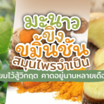 มะนาว ขิง ขมิ้นชัน สมุนไพรจำเป็น เตรียมไว้สู้วิกฤต คาดอยู่นานหลายเดือน