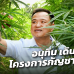 อนุทิน เดินหน้า โครงการกัญชา 6 ต้น ตั้งเป้า 5,000 ครัวเรือน ในสิ้นปี 64