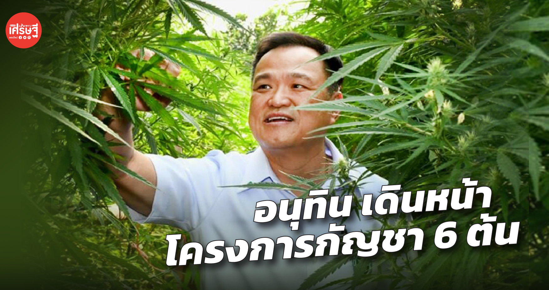 อนุทิน เดินหน้า โครงการกัญชา 6 ต้น ตั้งเป้า 5,000 ครัวเรือน ในสิ้นปี 64