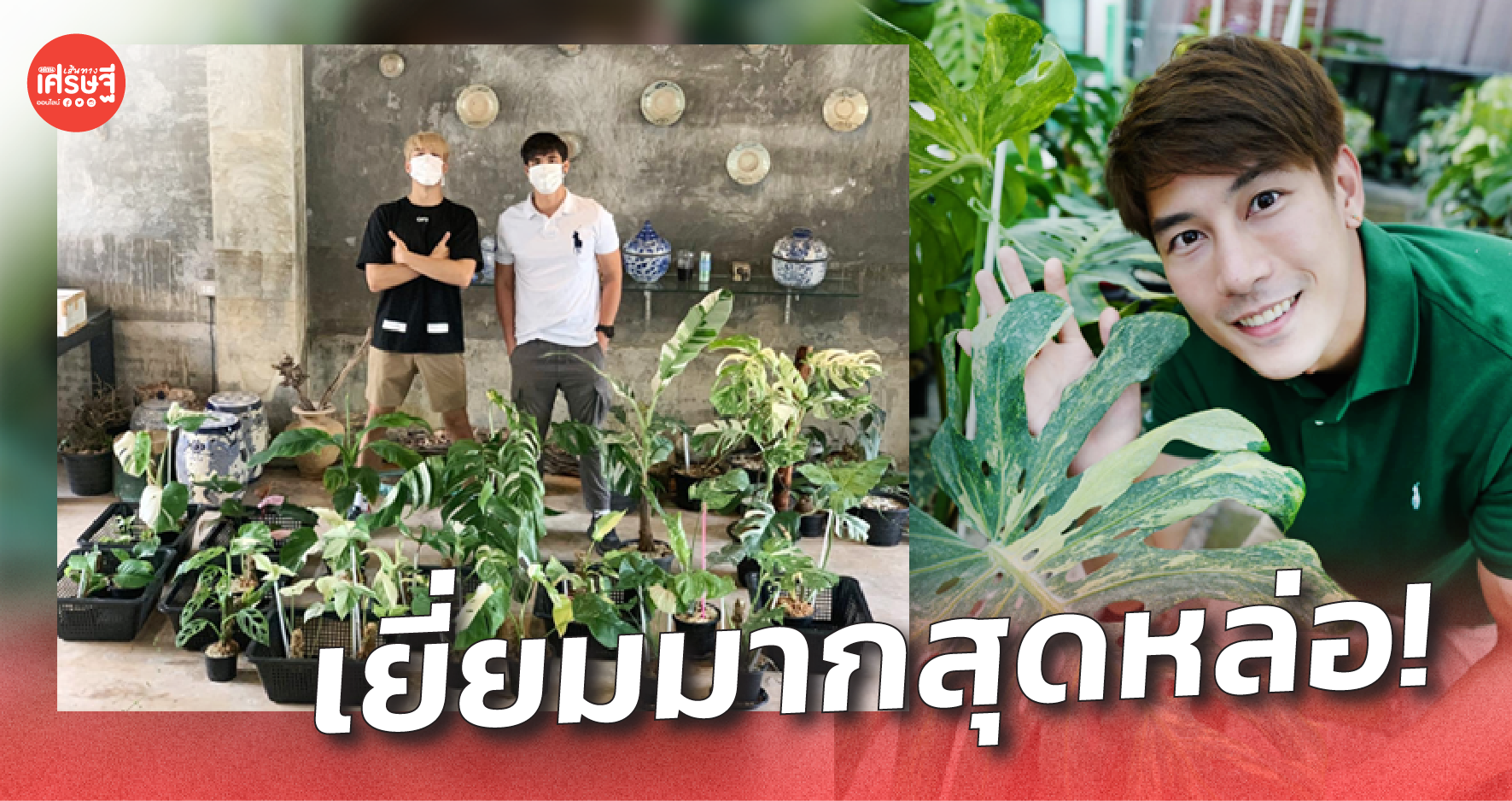 ไลฟ์การกุศล ประมูลต้นไม้