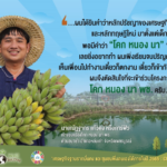 เสียงสะท้อนจากชาวโคก หนอง นา พัฒนาชุมชน จังหวัดเพชรบูรณ์