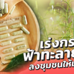 ผู้ป่วยล้นเตียง เร่งกระจาย ฟ้าทะลายโจร ลงชุมชนให้เร็วที่สุด เพื่อตัดวงจรวิกฤต