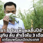 กัญชา 6 ต้น เห็นผลสิ้นปีช้าไป อนุทิน ลั่น สำเร็จใน 3 เดือน เตรียมพร้อมเปิดประเทศ